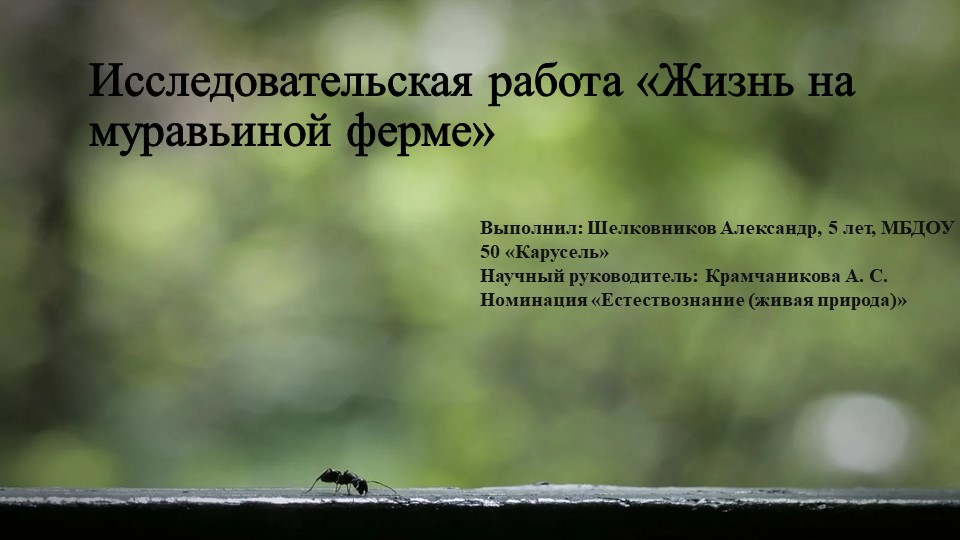 Презентация проекта "Моя муравьиная ферма" Учебники, Презентации и Подготовка к Экзаменам для Школьников на Klass-Uchebnik.com