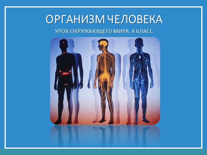 Презентация на тему "Организм человека" Учебники, Презентации и Подготовка к Экзаменам для Школьников на Klass-Uchebnik.com