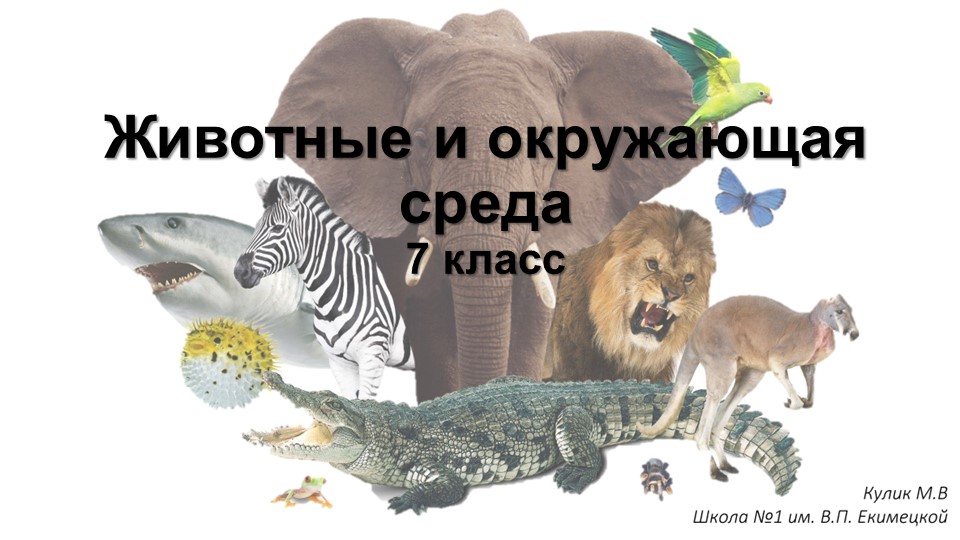 Презентация по биологии на тему "Животные и окружающая среда" (7 класс) Учебники, Презентации и Подготовка к Экзаменам для Школьников на Klass-Uchebnik.com