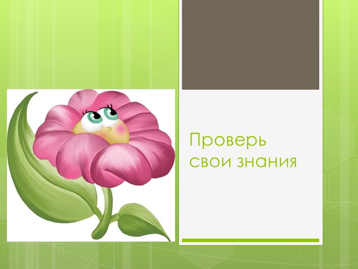 Презентация на тему: " Ты цветовод?" Учебники, Презентации и Подготовка к Экзаменам для Школьников на Klass-Uchebnik.com