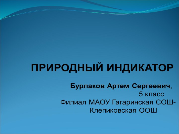 Презентация исследовательской работы Природный индикатор Учебники, Презентации и Подготовка к Экзаменам для Школьников на Klass-Uchebnik.com