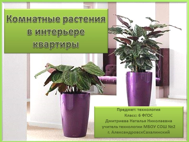 Презентация по технолонии на тему "Комнатные растения" Учебники, Презентации и Подготовка к Экзаменам для Школьников на Klass-Uchebnik.com