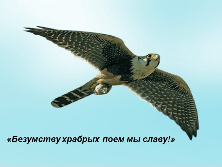 "Песнь о Соколе" презентация Учебники, Презентации и Подготовка к Экзаменам для Школьников на Klass-Uchebnik.com