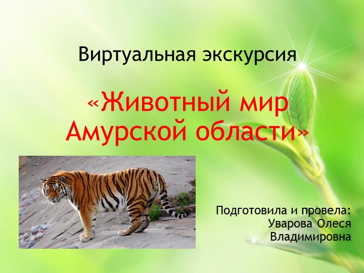 Презентация "Виртуальная экскурсия "Животный мир Амурской области" Учебники, Презентации и Подготовка к Экзаменам для Школьников на Klass-Uchebnik.com