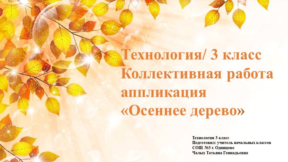 Презентация по технологии "Коллективная работа аппликация «Осеннее дерево»" (1-4 классы) Учебники, Презентации и Подготовка к Экзаменам для Школьников на Klass-Uchebnik.com