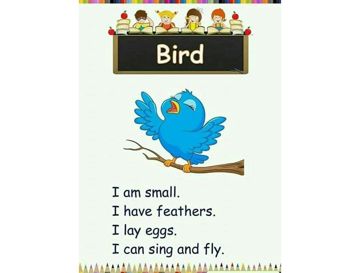 Презентация по теме " Животные" Учебники, Презентации и Подготовка к Экзаменам для Школьников на Klass-Uchebnik.com