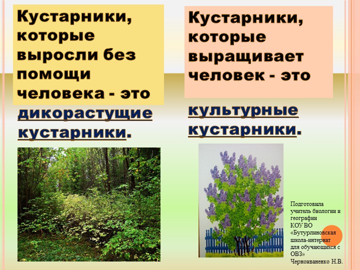 Презентация по природоведению на тему "Травы" (6 класс) Учебники, Презентации и Подготовка к Экзаменам для Школьников на Klass-Uchebnik.com