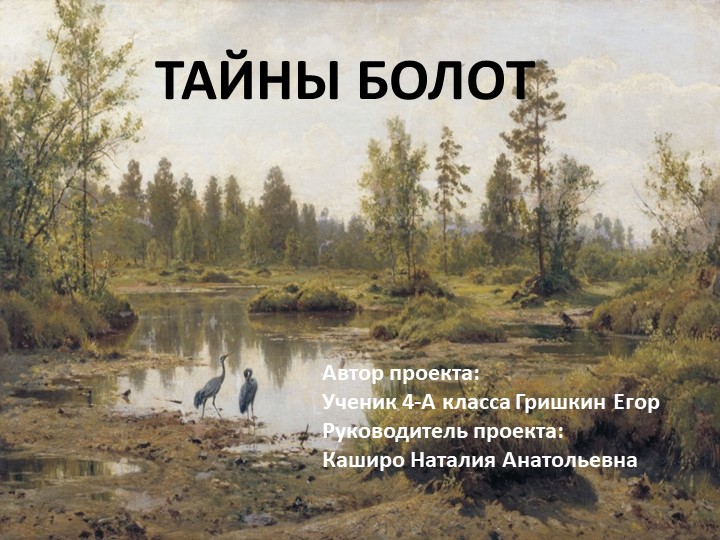 Презентация проекта "Тайны болот" Учебники, Презентации и Подготовка к Экзаменам для Школьников на Klass-Uchebnik.com