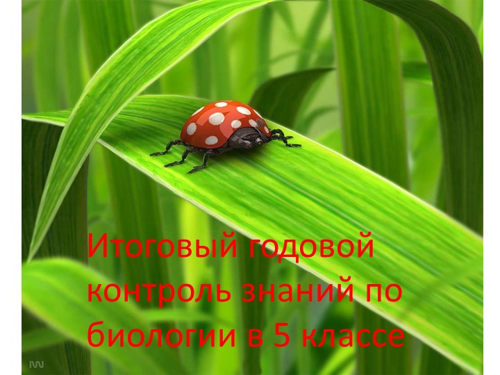 Презентация "Итоговая контрольная работа в 5 классе" Учебники, Презентации и Подготовка к Экзаменам для Школьников на Klass-Uchebnik.com