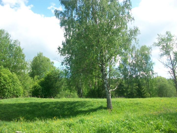 Презентация проекта "Есть место в глубинке России" Учебники, Презентации и Подготовка к Экзаменам для Школьников на Klass-Uchebnik.com