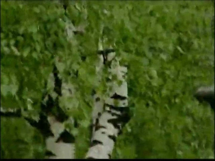 Презентация Вечер есенинской поэзии Учебники, Презентации и Подготовка к Экзаменам для Школьников на Klass-Uchebnik.com