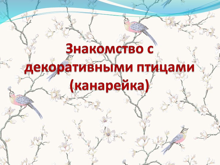Презентация по познавательному развитию. Знакомство с декоративными птицами Учебники, Презентации и Подготовка к Экзаменам для Школьников на Klass-Uchebnik.com