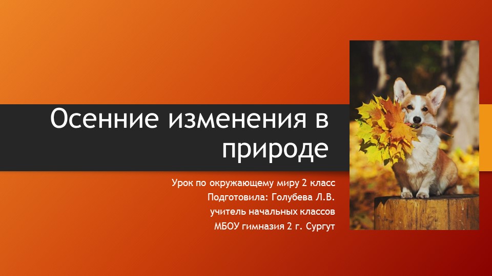 Презентация для урока по окружающему миру "Осенние изменения в природе" Учебники, Презентации и Подготовка к Экзаменам для Школьников на Klass-Uchebnik.com