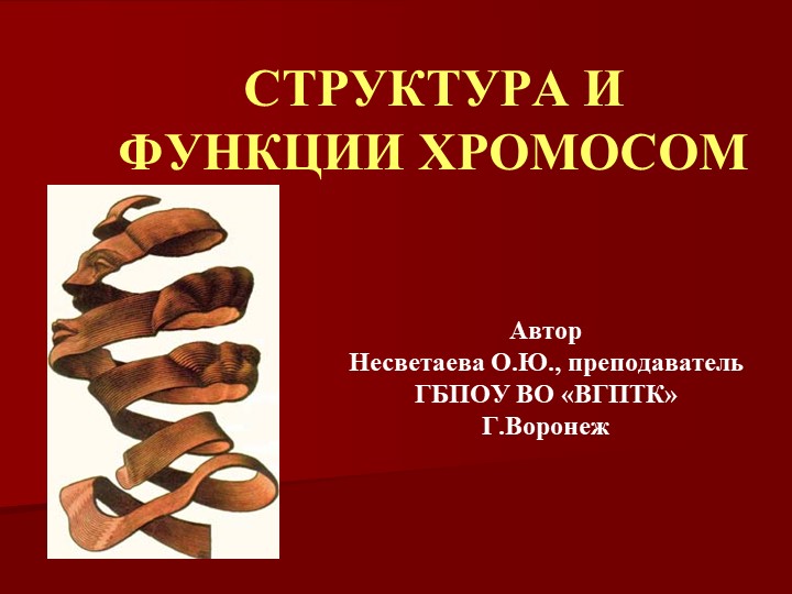 Презентация по биологии на тему "Структура и функции хромосом" Учебники, Презентации и Подготовка к Экзаменам для Школьников на Klass-Uchebnik.com