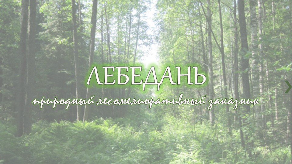 "Презентация к уроку ИКН (Республика Марий Эл) "Озеро Лебедань"" Учебники, Презентации и Подготовка к Экзаменам для Школьников на Klass-Uchebnik.com