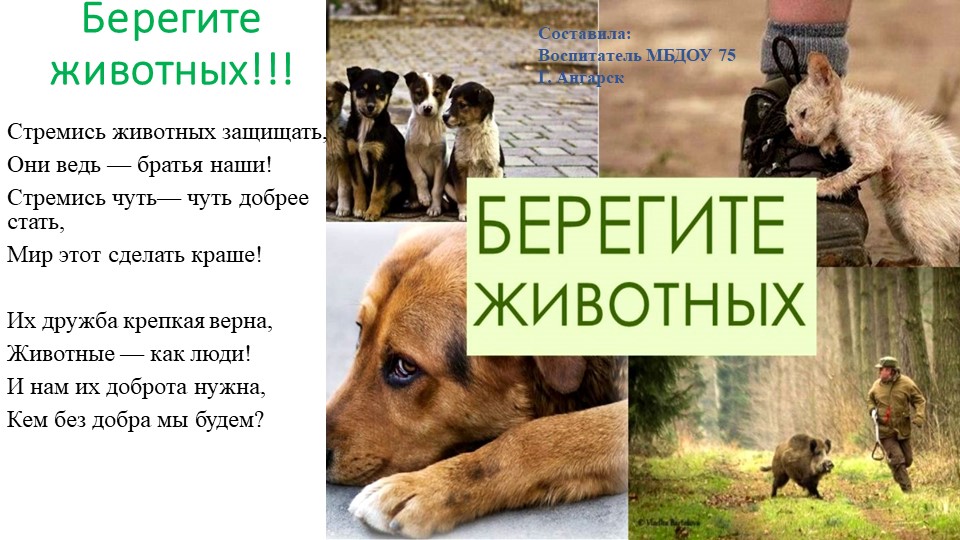 Презентация окружающий мир "Берегите животных" Учебники, Презентации и Подготовка к Экзаменам для Школьников на Klass-Uchebnik.com