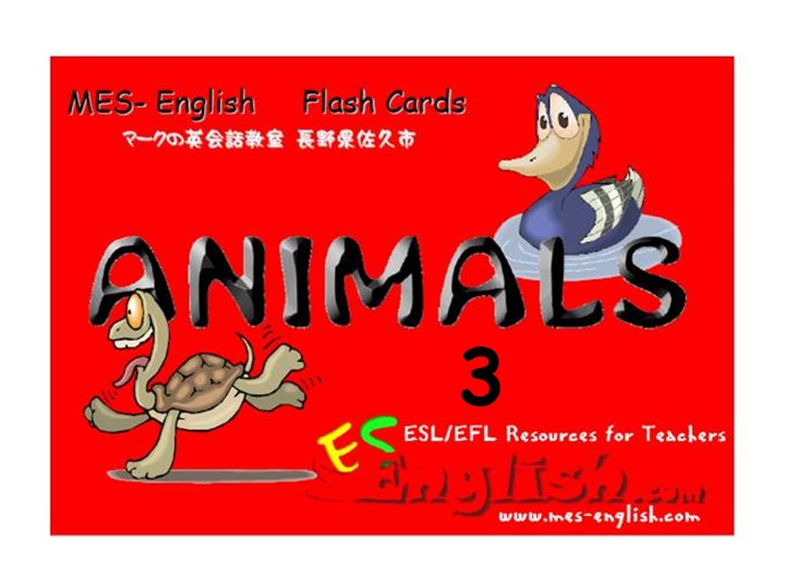 Презентация по английскому языку "Животные". Учебники, Презентации и Подготовка к Экзаменам для Школьников на Klass-Uchebnik.com