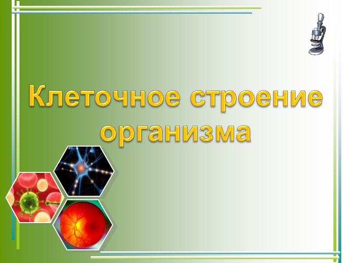 Презентация на тему "Клеточное строение" Учебники, Презентации и Подготовка к Экзаменам для Школьников на Klass-Uchebnik.com