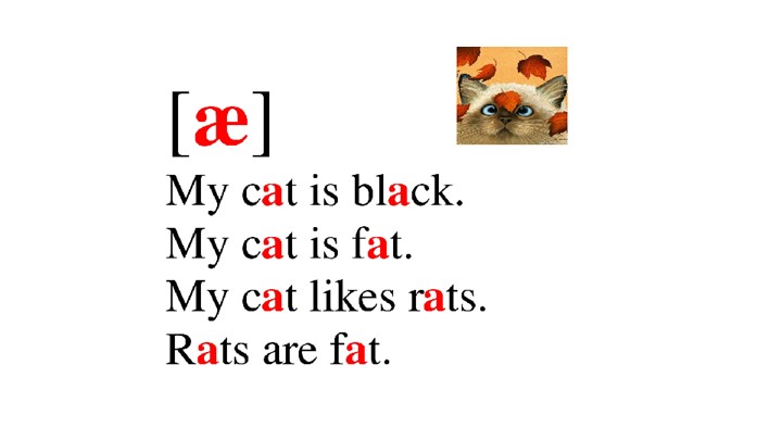 Презентация "Parts of the body" 5 класс Учебники, Презентации и Подготовка к Экзаменам для Школьников на Klass-Uchebnik.com