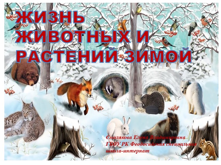 Презентация коррекционного воспитательского занятия "Жизнь животных и растений зимой" Учебники, Презентации и Подготовка к Экзаменам для Школьников на Klass-Uchebnik.com