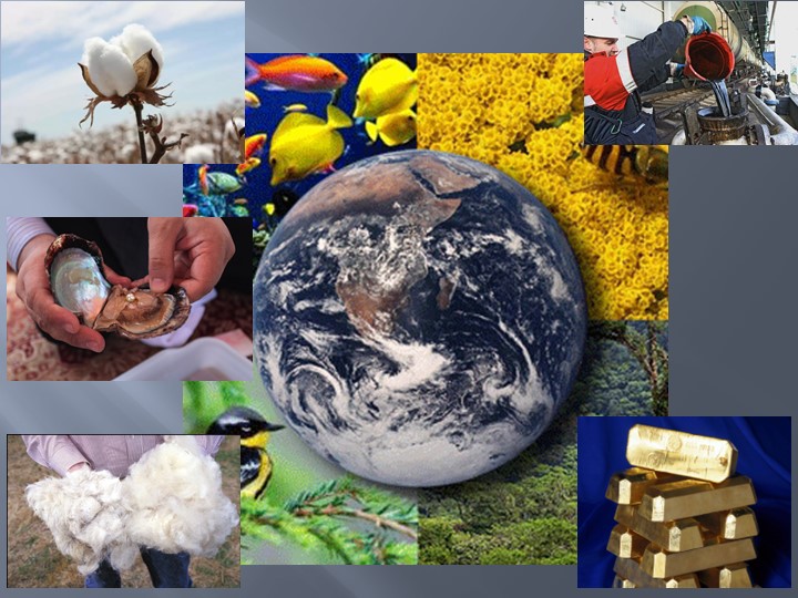 Презентация к уроку английского языка по теме Natural Treasures умк Вербицкая 5 класс Учебники, Презентации и Подготовка к Экзаменам для Школьников на Klass-Uchebnik.com