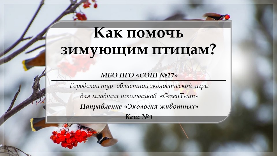 Презентация учащихся 3 класса Как помочь зимующим птицам? Учебники, Презентации и Подготовка к Экзаменам для Школьников на Klass-Uchebnik.com