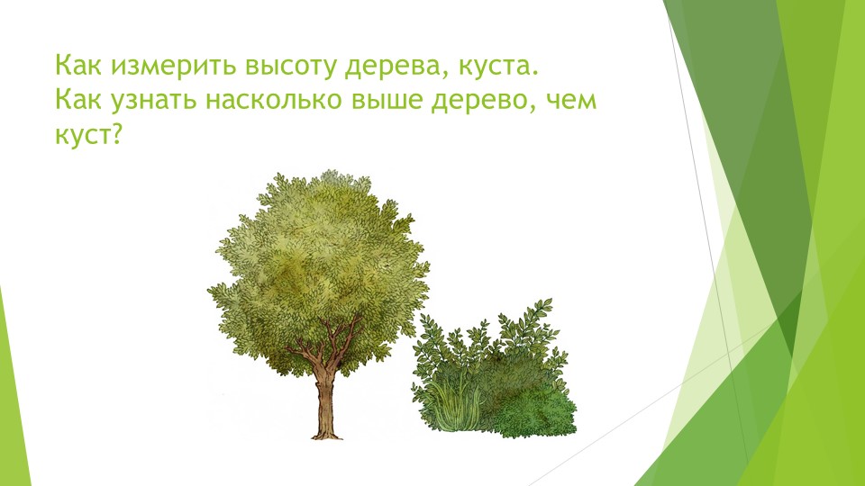 Презентация к уроку математики в 1 классе на тему "Сантиметр". Учебники, Презентации и Подготовка к Экзаменам для Школьников на Klass-Uchebnik.com
