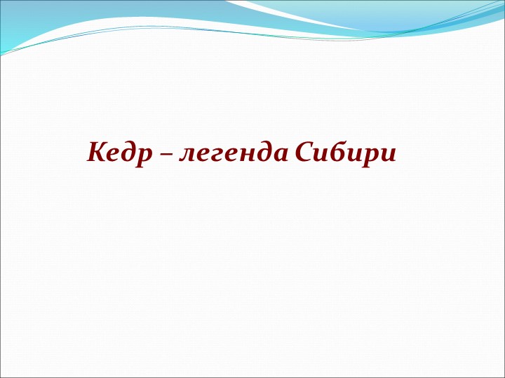Презентация "Легенда Сибири-сосна кедровая" Учебники, Презентации и Подготовка к Экзаменам для Школьников на Klass-Uchebnik.com
