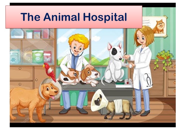 Презентация по английскому языку "The Animal Hospital" (4 класс) Учебники, Презентации и Подготовка к Экзаменам для Школьников на Klass-Uchebnik.com