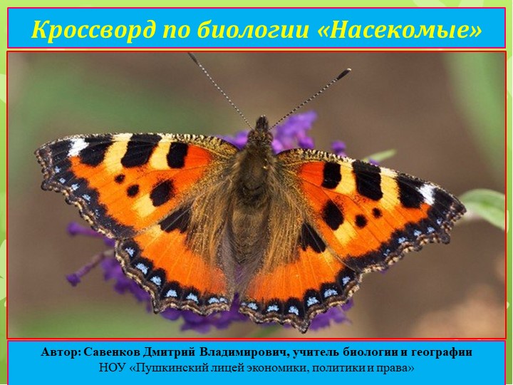 Кроссворд по биологии "Насекомые". - Учебники, Презентации и Подготовка к Экзаменам для Школьников на Klass-Uchebnik.com