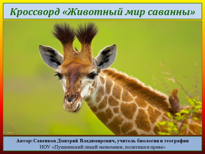 Кроссворд по географии "Животный мир саванны" Учебники, Презентации и Подготовка к Экзаменам для Школьников на Klass-Uchebnik.com