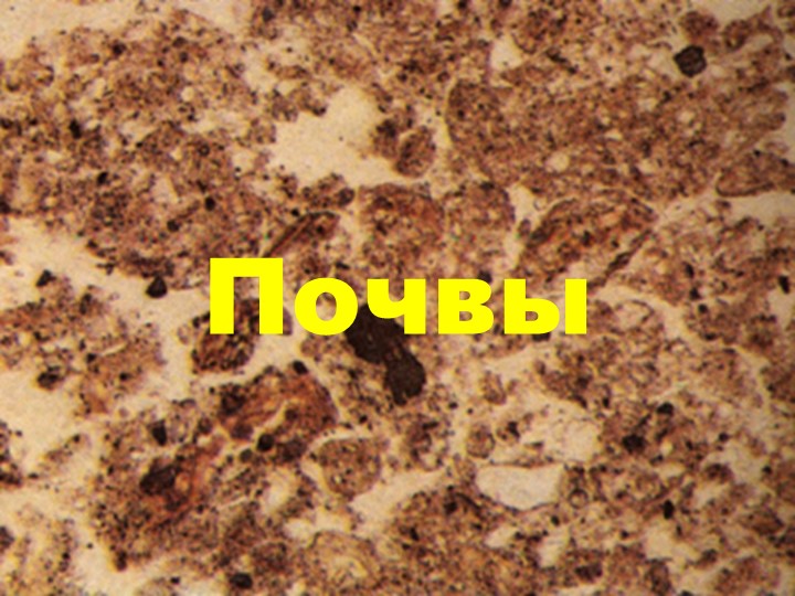 Презентация по теме "Почвы РФ" Учебники, Презентации и Подготовка к Экзаменам для Школьников на Klass-Uchebnik.com