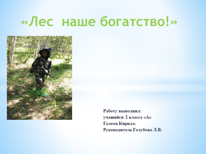 Презентация "Лес - наше богатство" Учебники, Презентации и Подготовка к Экзаменам для Школьников на Klass-Uchebnik.com