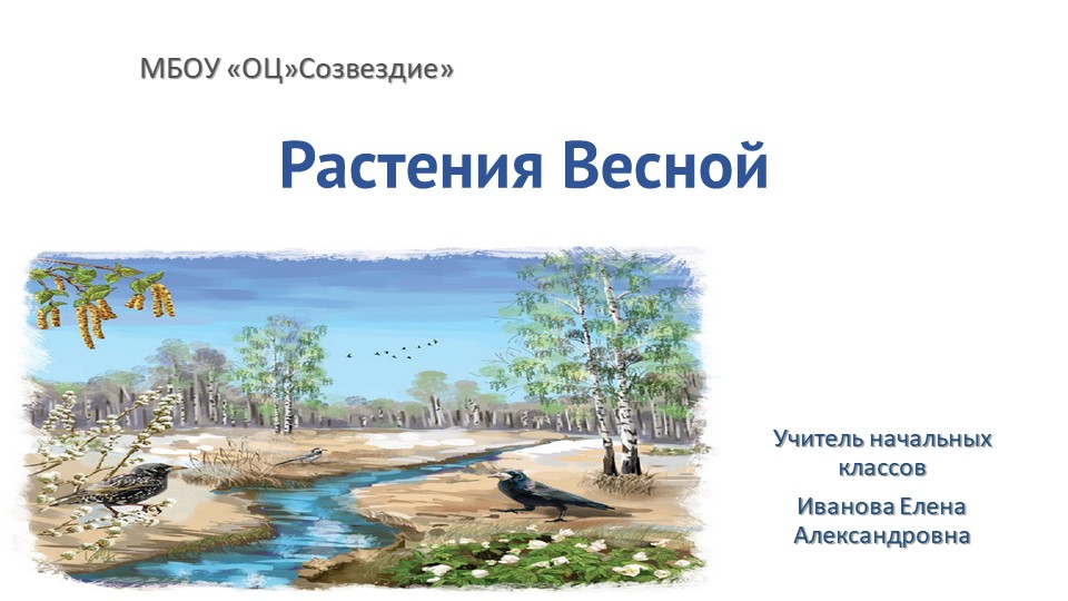 Презентация по миру природы и человека на тему "Растения весной" 4 класс Учебники, Презентации и Подготовка к Экзаменам для Школьников на Klass-Uchebnik.com