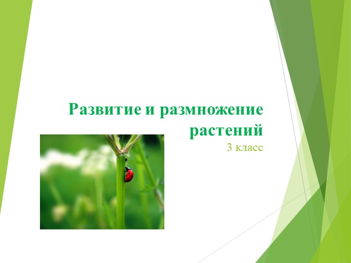 Презентация к уроку окружающего мира на тему "Развитие и размножение растений" Учебники, Презентации и Подготовка к Экзаменам для Школьников на Klass-Uchebnik.com