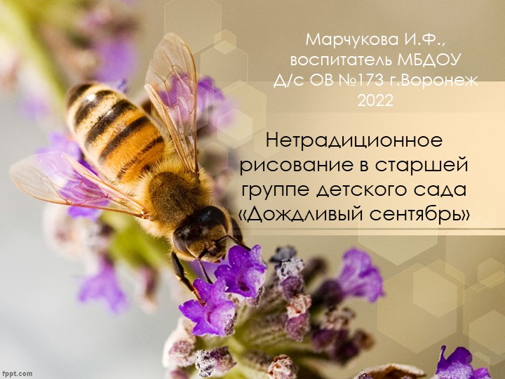 Нетрадиционное рисование в старшей группе детского сада "Дождливый сентябрь". Учебники, Презентации и Подготовка к Экзаменам для Школьников на Klass-Uchebnik.com
