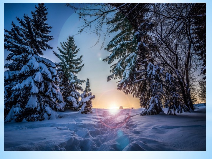 Презентация "Зимующие птицы" средняя группа Учебники, Презентации и Подготовка к Экзаменам для Школьников на Klass-Uchebnik.com