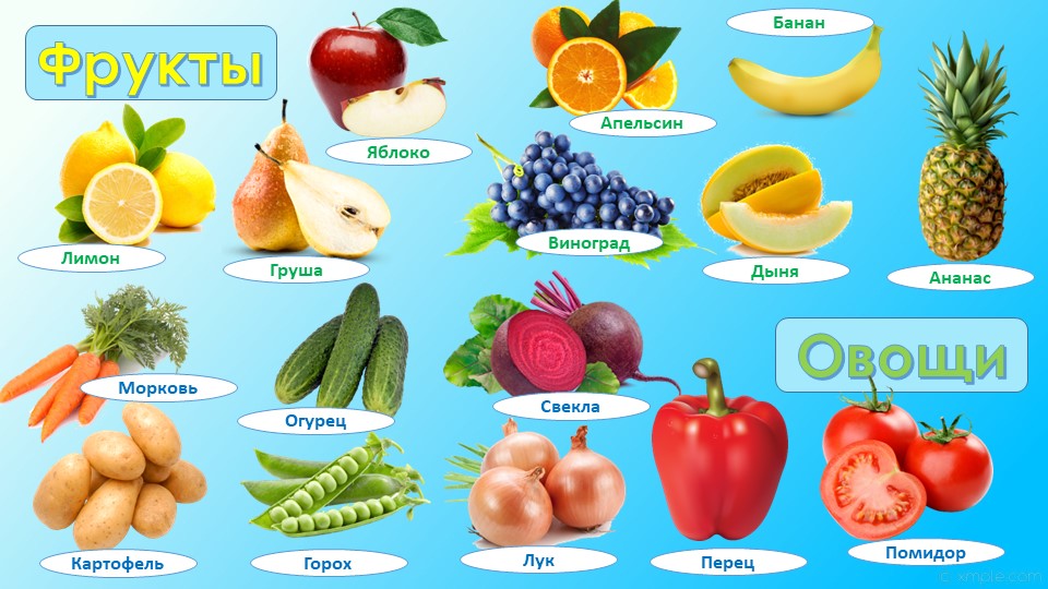 Презентация "Овощи и фрукты" Учебники, Презентации и Подготовка к Экзаменам для Школьников на Klass-Uchebnik.com