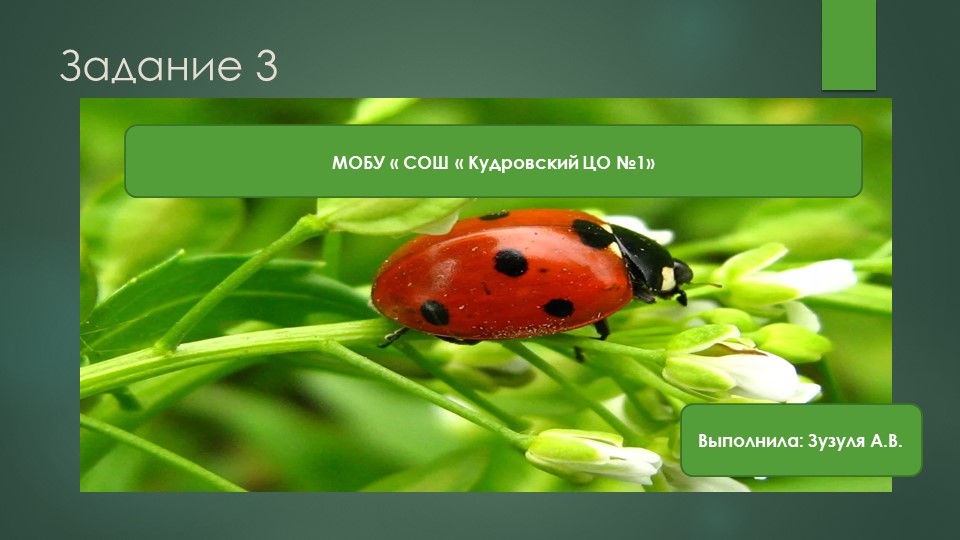 Подготовка к выполнению задания 3( ЕГЭ-2023) Учебники, Презентации и Подготовка к Экзаменам для Школьников на Klass-Uchebnik.com