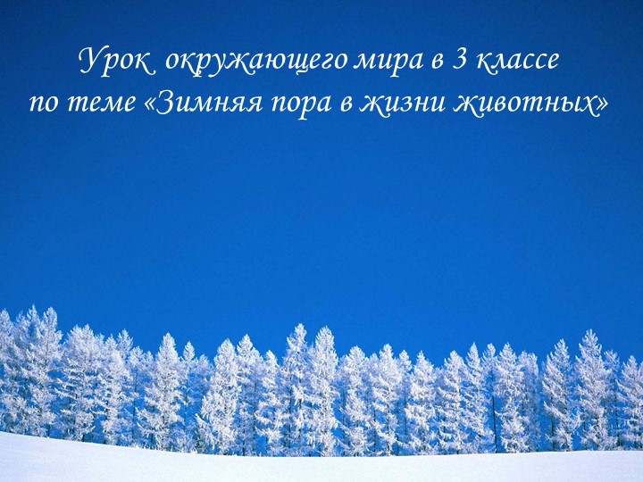 Презентация урока окружающего мира в 3 классе на тему Зимняя пора в жизни животных Учебники, Презентации и Подготовка к Экзаменам для Школьников на Klass-Uchebnik.com