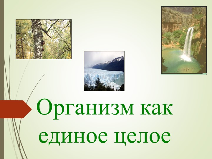 "Организм, как единое целое" Учебники, Презентации и Подготовка к Экзаменам для Школьников на Klass-Uchebnik.com