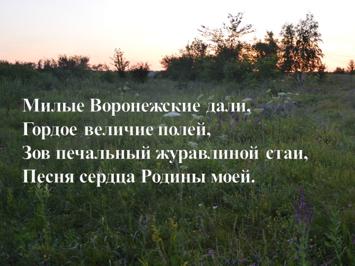 Презентация для внеклассного занятия "Воронежская область" Учебники, Презентации и Подготовка к Экзаменам для Школьников на Klass-Uchebnik.com