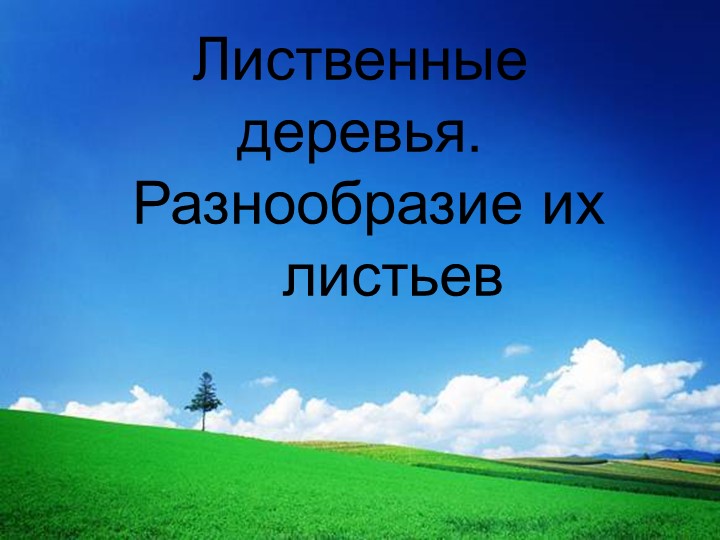 Презентация по окружающему миру на тему " Лиственные деревья" 1 класс Учебники, Презентации и Подготовка к Экзаменам для Школьников на Klass-Uchebnik.com