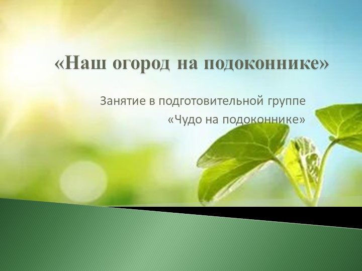 Презентация "Чудо на подоконнике" Учебники, Презентации и Подготовка к Экзаменам для Школьников на Klass-Uchebnik.com