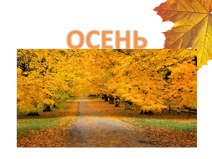 Презентация "Признаки осени" для младших дошкольников. Учебники, Презентации и Подготовка к Экзаменам для Школьников на Klass-Uchebnik.com