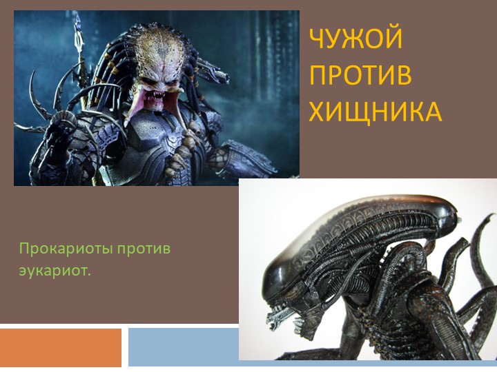 Презентация по биологии: "Прокариоты против эукариот" Учебники, Презентации и Подготовка к Экзаменам для Школьников на Klass-Uchebnik.com
