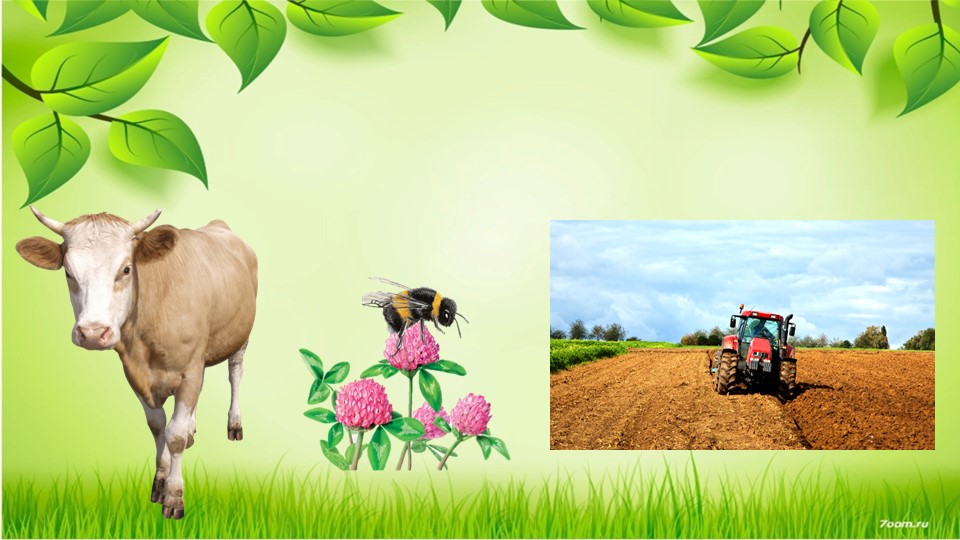 Презентация по окружающему миру "Что такое экология?" 3 класс Учебники, Презентации и Подготовка к Экзаменам для Школьников на Klass-Uchebnik.com