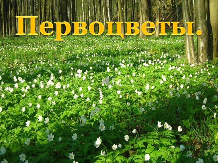 Презентация на тему "Первоцветы" Учебники, Презентации и Подготовка к Экзаменам для Школьников на Klass-Uchebnik.com