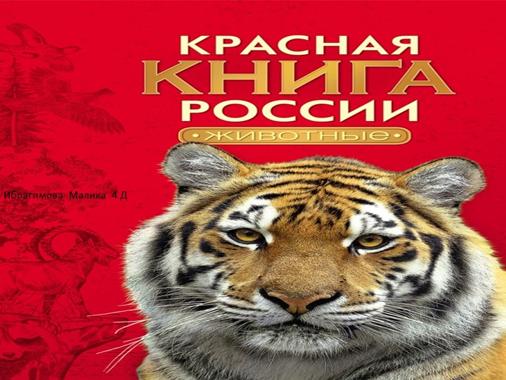 Животные Татарстана в Красной книге Учебники, Презентации и Подготовка к Экзаменам для Школьников на Klass-Uchebnik.com