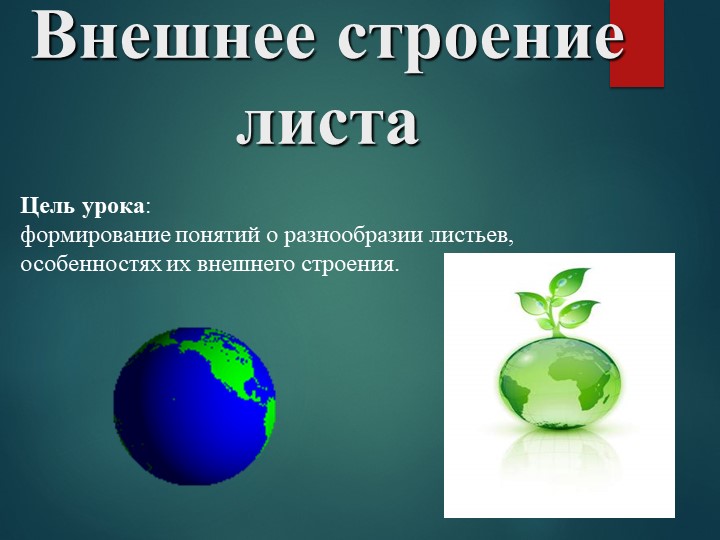 Презентация "Внешнее строение листа". Учебники, Презентации и Подготовка к Экзаменам для Школьников на Klass-Uchebnik.com